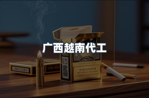 广西越南代工